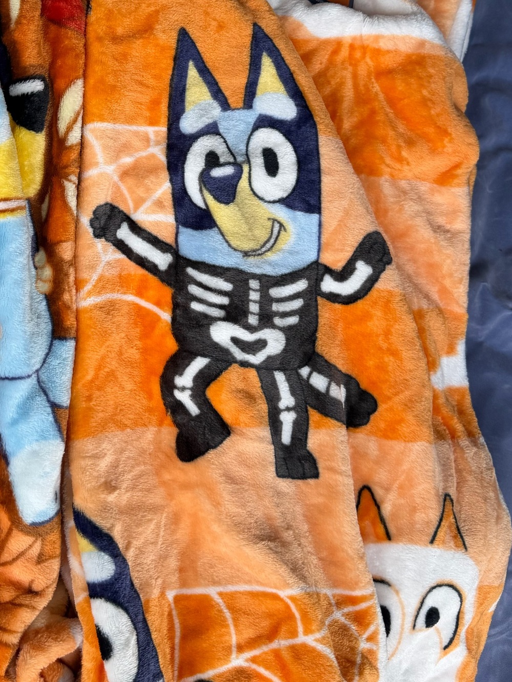 Halloween bluey throw blanket new